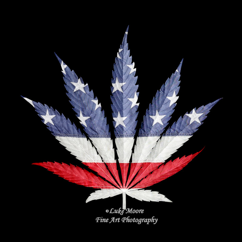 Cannabis American Flag artwork and photography prints and home decorby Luke Moore. 