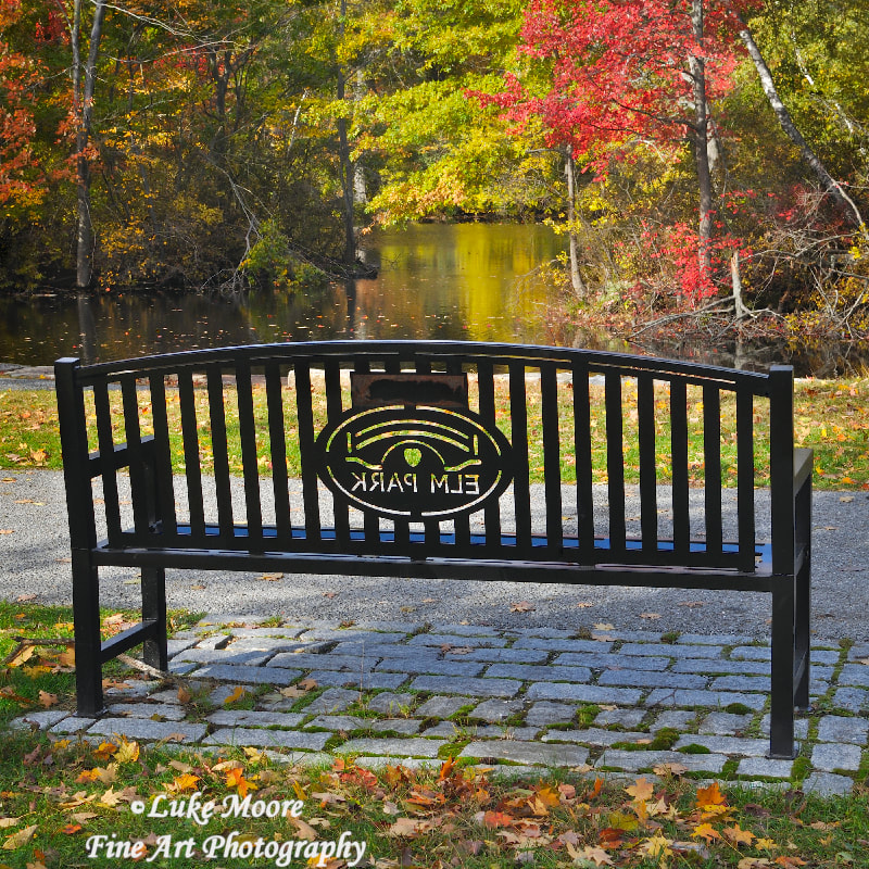Elm Park autumn bench in Worcester, Massachusetts, Worcester County, New England. Worcester fine art prints and wall art by Luke Moore.