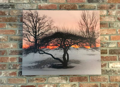 Sunset tree beautiful landscape prints and home decor by Luke Moore