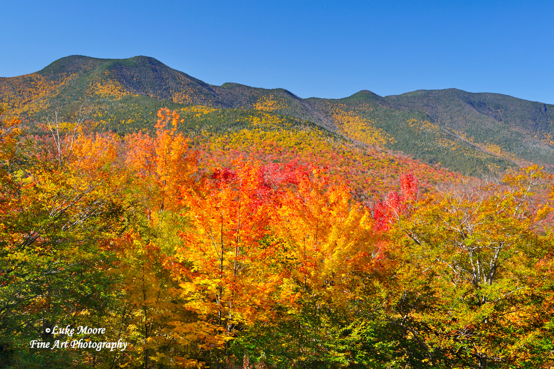Vivid autumn foliage on the Kancamagus Highway in Lincoln, New Hampshire.  Fine art prints and wall decor by Luke Moore. 