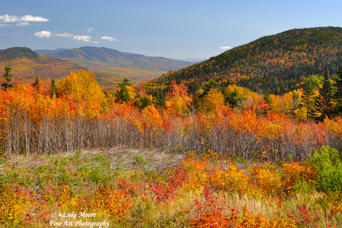 These trees look like they are on fire with autumn colors.  Almost looks like a painting of the Kancamagus Highway in New Hampshire. 